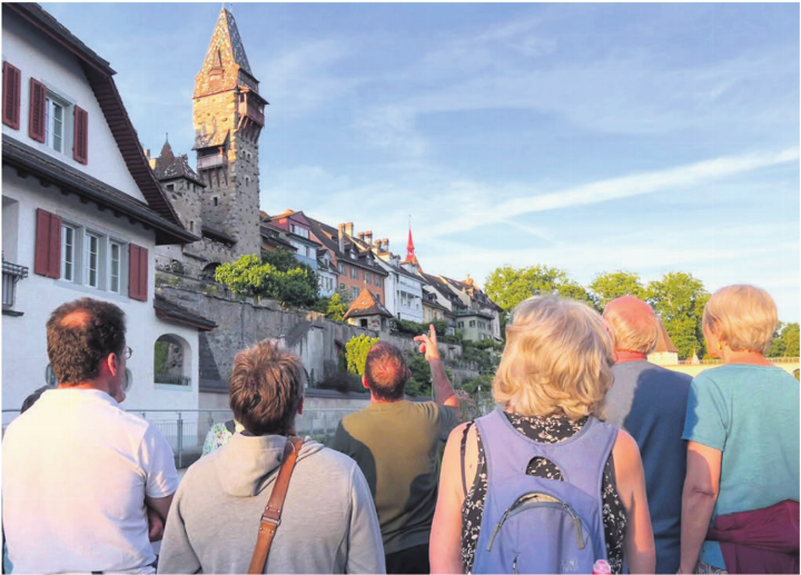 Der Naturschutzbiologe Markus Senn erklärt den Teilnehmenden, wie die Alpensegler im Muri-Amthof nisten. Bilder: tyb