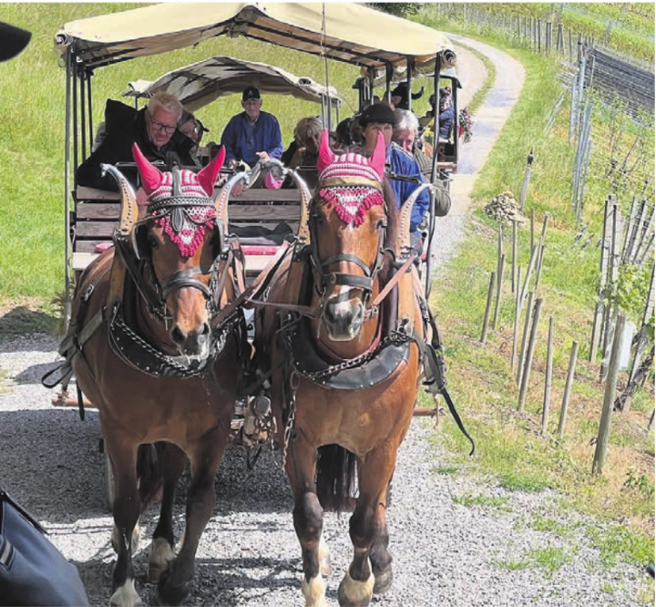 Kutschenfahrt durch die Weinberge – das erlebten die Bettwiler Senioren. Bild: zg