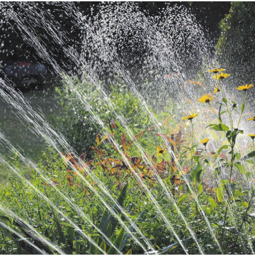 Kein Feuer, fast kein Wasser - Grossflächiges Bewässern – das ist in der aktuellen Situation nicht mehr angesagt. Bild: www.pixabay.com