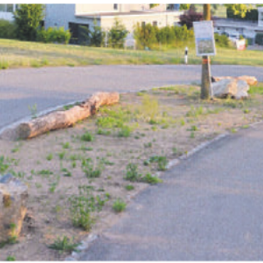 Magerwiese statt Parkplatz - Auf dieser Fläche wurden über viele Jahre Autos parkiert.    Bild: rwi