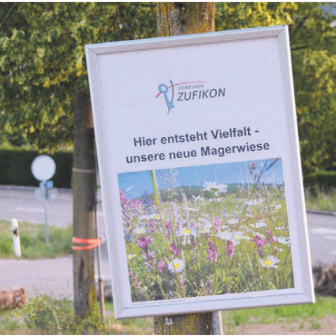 Magerwiese statt Parkplatz - Eine Tafel weist auf die neu geschaffene Magerwiese hin.