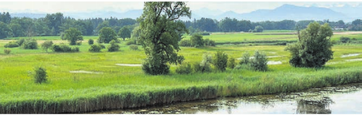 Altwasser-Landschaft Stille Reuss. Bild: zg