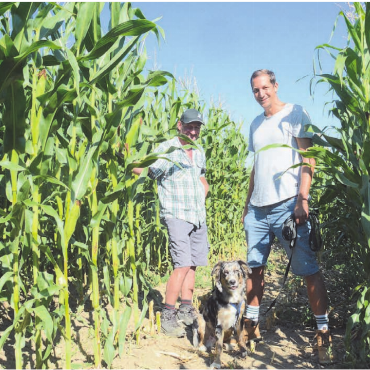 Sich verirren kann Spass machen - Sie freuen sich, dass es am Samstag endlich losgeht: Landwirt Reto Heiniger (links) und Journalist sowie Kinderbuchautor Stefan Sprenger haben die Idee eines Freiämter Maislabyrinths gemeinsam umgesetzt. 
Bilder: Chregi Hansen / zg