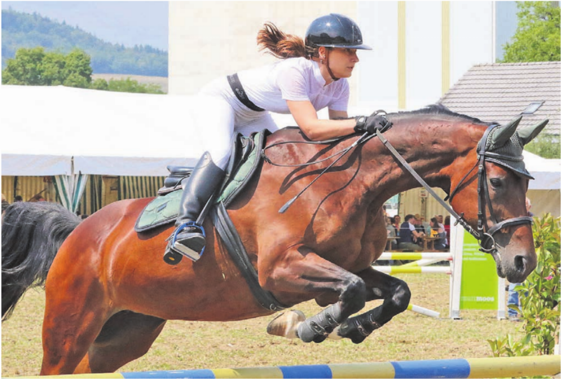 Kein Mitglied vom KV Bünztal, aber als Wohlerin trotzdem an einem Heimspiel: Kaja Isler holt auf Dilaya den 2. Platz in der Prüfung Nummer 13. - Das Bild wird blockiert. – Möglicherweise durch einen aktiven Adblocker.
