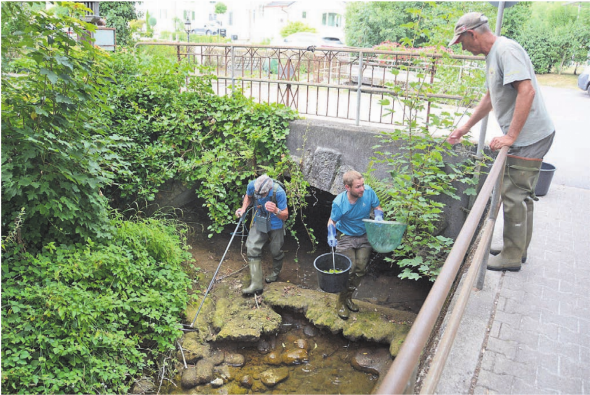 Rettungsaktion für die letzten verbliebenen Forellen: Der kantonale Gebietsfischereiaufseher Christoph Balmer macht sich zusammen mit Florian Wullschleger und Fischenzpächter Rudolf Jost (von links) ans Ausfischen. Bilder: Chregi Hansen / zg - Das Bild wird blockiert. – Möglicherweise durch einen aktiven Adblocker.